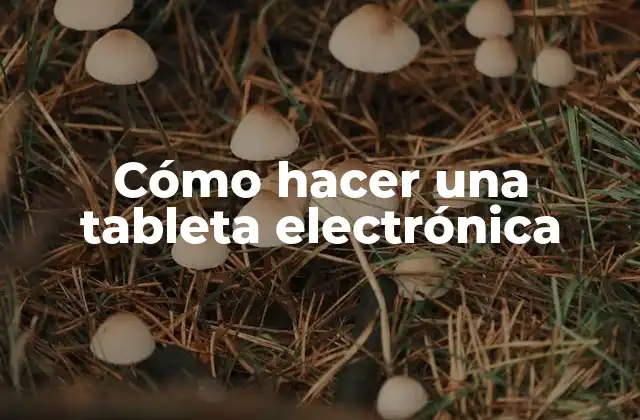 ¿Qué es una tableta electrónica?