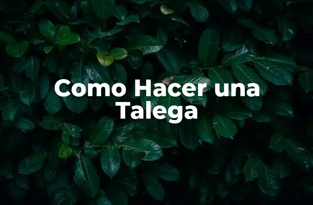 Como Hacer una Talega