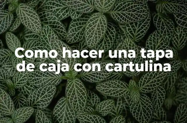 Como Hacer una Tapa de Caja con Cartulina