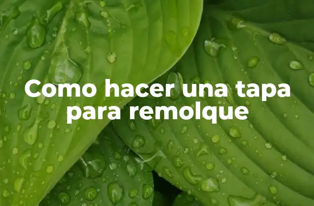 Como Hacer una Tapa para Remolque