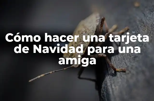 ¿Qué es una tarjeta de Navidad y para qué sirve?