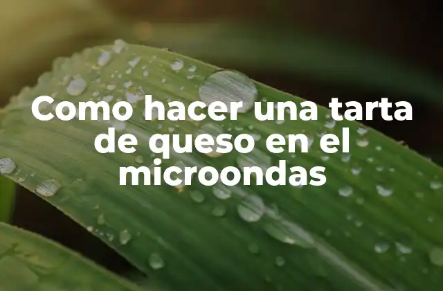 Como Hacer una Tarta de Queso en el Microondas 2 ¿Qué es una tarta de queso en el microondas?
