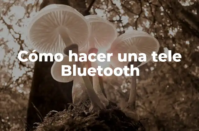 Cómo Hacer una Tele Bluetooth