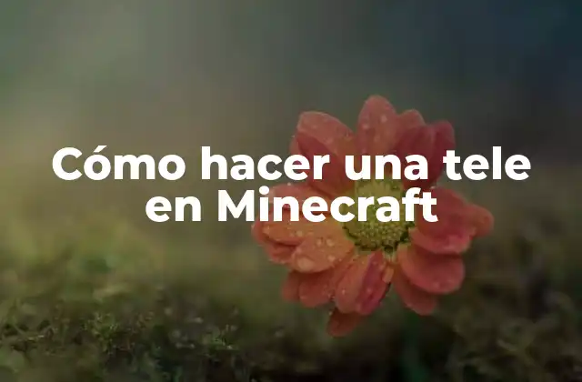 Cómo Hacer una Tele en Minecraft