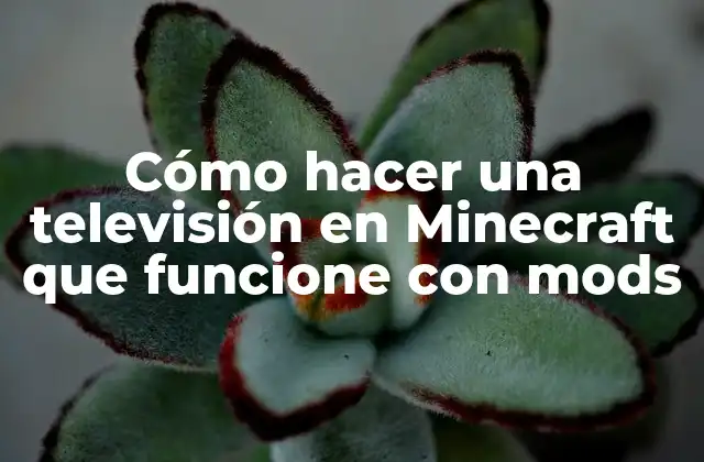 ¿Qué es una televisión en Minecraft y cómo funciona con mods?