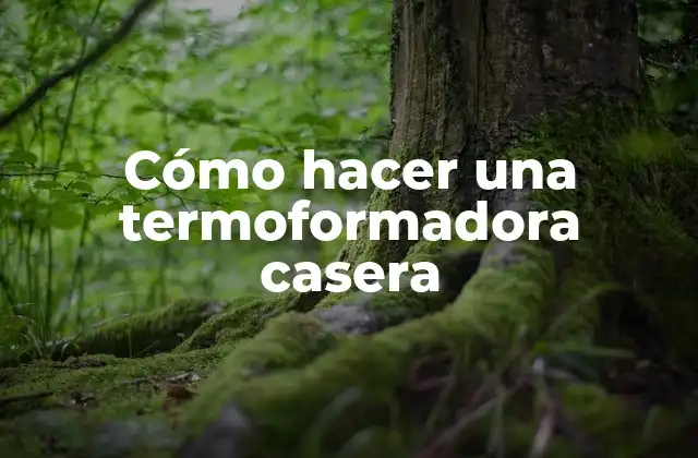 Cómo Hacer una Termoformadora Casera