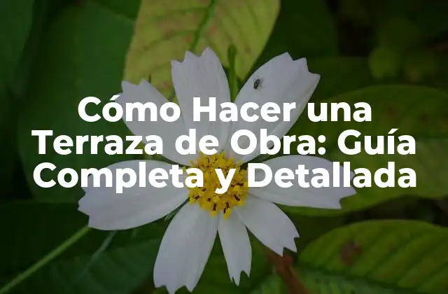 Cómo Hacer una Terraza de Obra: Guía Completa y Detallada