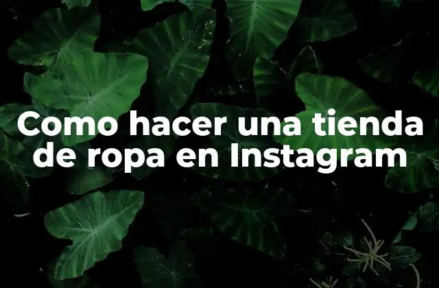 Como Hacer una Tienda de Ropa en Instagram