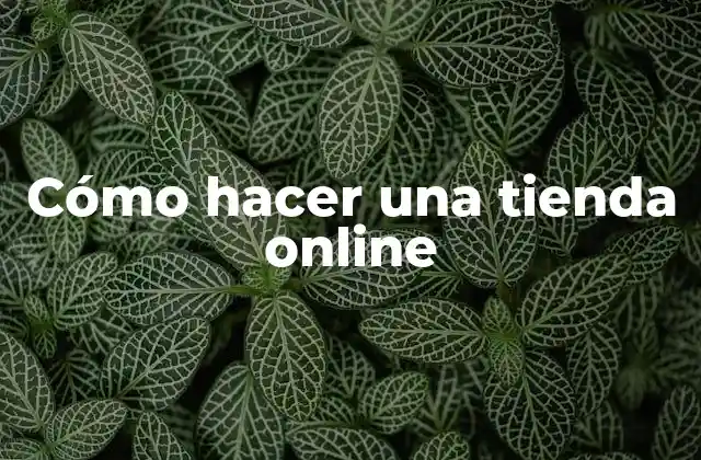 Cómo Hacer una Tienda Online