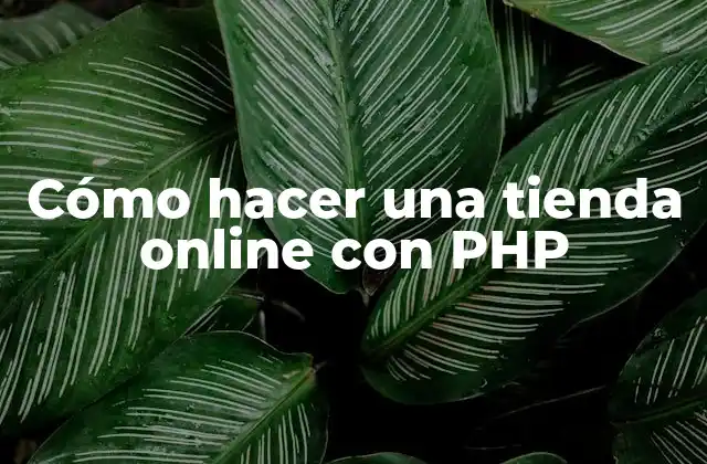 Cómo Hacer una Tienda Online con Php