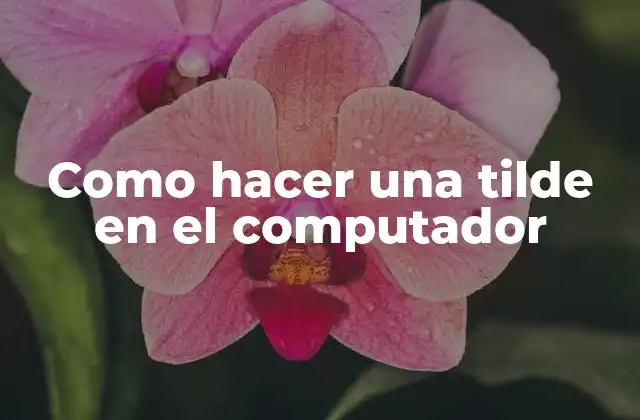 Como Hacer una Tilde en el Computador 2 ¿Qué es una tilde en el computador?