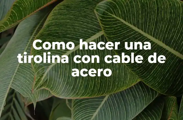 Como Hacer una Tirolina con Cable de Acero 2 ¿Qué es una tirolina con cable de acero y para qué sirve?
