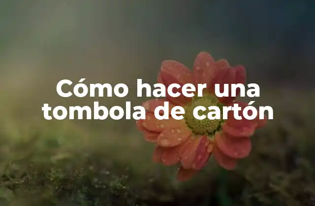 Cómo Hacer una Tombola de Cartón