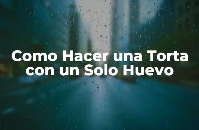 Como Hacer una Torta con un Solo Huevo