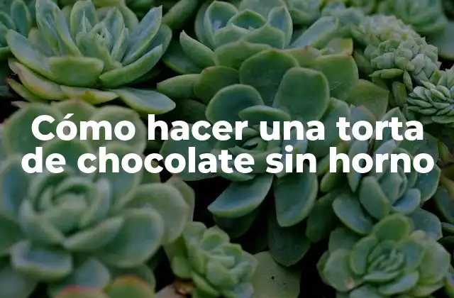 Cómo Hacer una Torta de Chocolate sin Horno