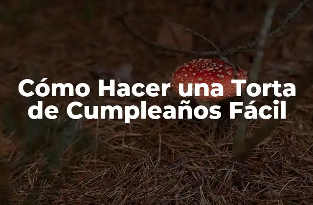 Cómo Hacer una Torta de Cumpleaños Fácil