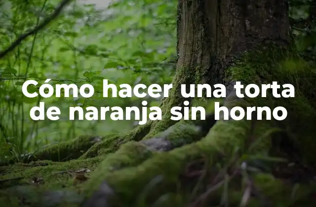 Cómo Hacer una Torta de Naranja sin Horno