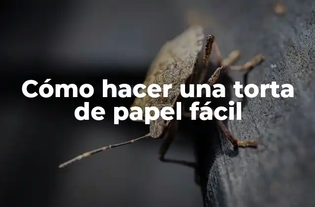 Cómo Hacer una Torta de Papel Fácil
