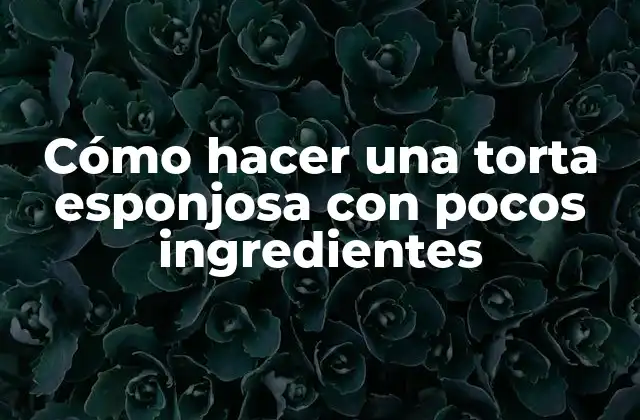 Cómo Hacer una Torta Esponjosa con Pocos Ingredientes
