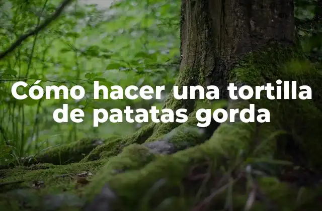 Cómo Hacer una Tortilla de Patatas Gorda