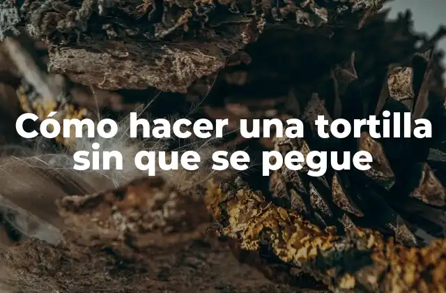 Cómo Hacer una Tortilla sin que Se Pegue