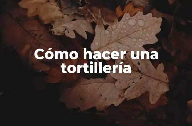 Cómo Hacer una Tortillería