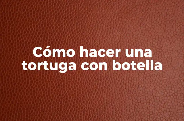 Cómo Hacer una Tortuga con Botella