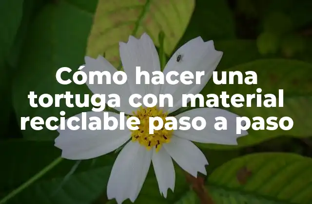 Cómo Hacer una Tortuga con Material Reciclable Paso a Paso