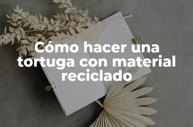 Cómo Hacer una Tortuga con Material Reciclado