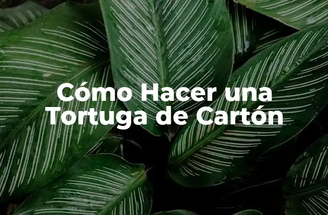 Cómo Hacer una Tortuga de Cartón