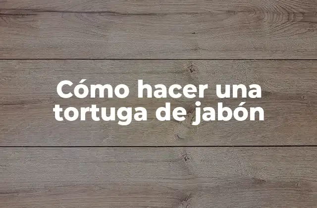 Cómo Hacer una Tortuga de Jabón