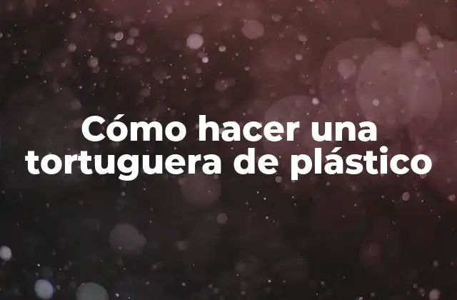 Cómo Hacer una Tortuguera de Plástico