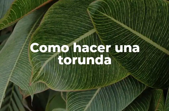 Como Hacer una Torunda