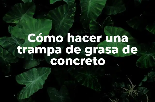 Cómo Hacer una Trampa de Grasa de Concreto