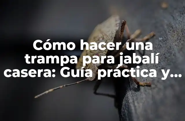 Cómo Hacer una Trampa para Jabalí Casera: Guía Práctica y Segura