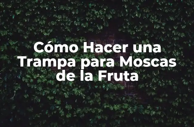 Cómo Hacer una Trampa para Moscas de la Fruta