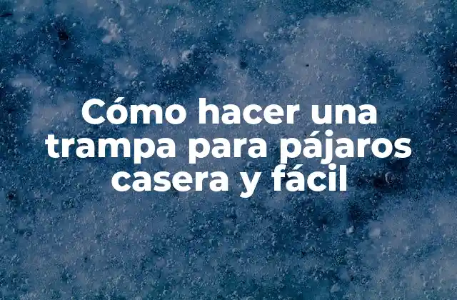 Cómo Hacer una Trampa para Pájaros Casera y Fácil
