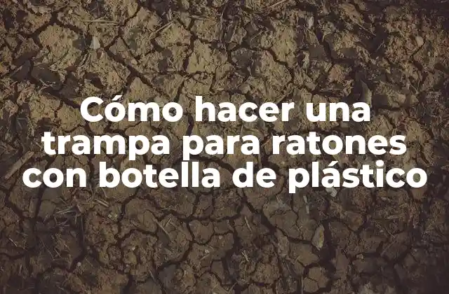 Cómo Hacer una Trampa para Ratones con Botella de Plástico 2 Cómo hacer una trampa para ratones con botella de plástico