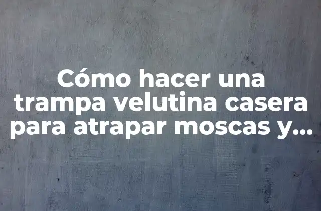 Cómo Hacer una Trampa Velutina Casera para Atrapar Moscas y Otros Insectos
