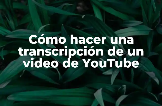 Cómo Hacer una Transcripción de un Video de Youtube