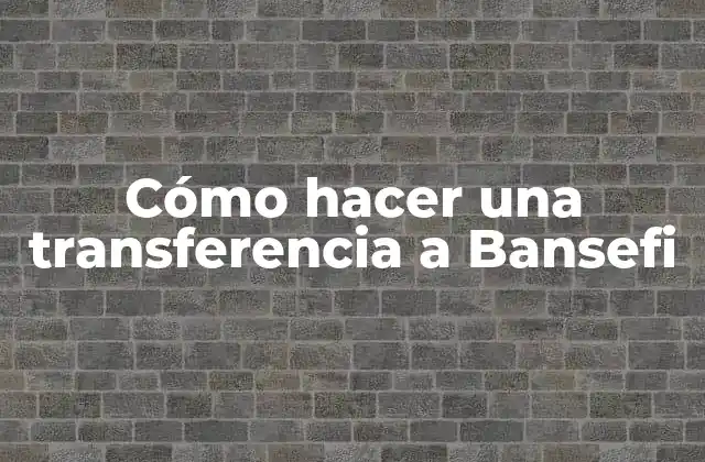 Cómo Hacer una Transferencia a Bansefi