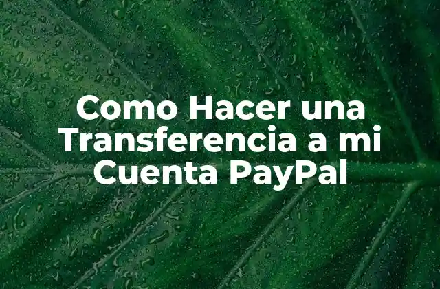 Como Hacer una Transferencia a Mi Cuenta Paypal