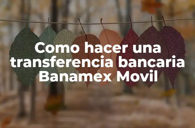 Como Hacer una Transferencia Bancaria Banamex Movil