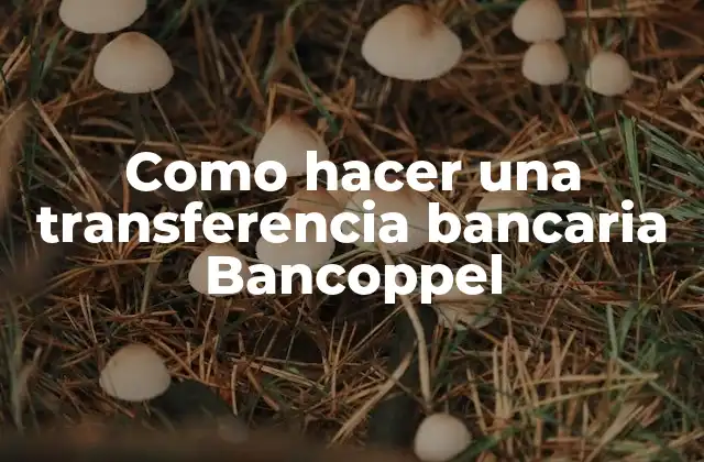 Como Hacer una Transferencia Bancaria Bancoppel 2 ¿Qué es una transferencia bancaria Bancoppel?