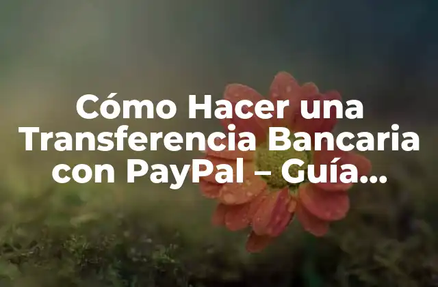 Ventajas de Hacer una Transferencia Bancaria con PayPal