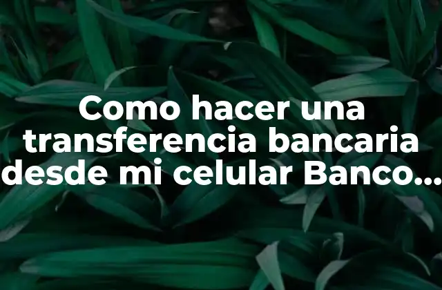 Como Hacer una Transferencia Bancaria desde Mi Celular Banco Pichincha