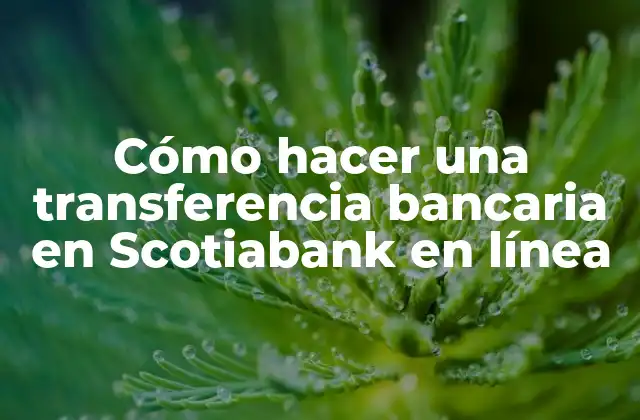 Cómo Hacer una Transferencia Bancaria en Scotiabank en Línea