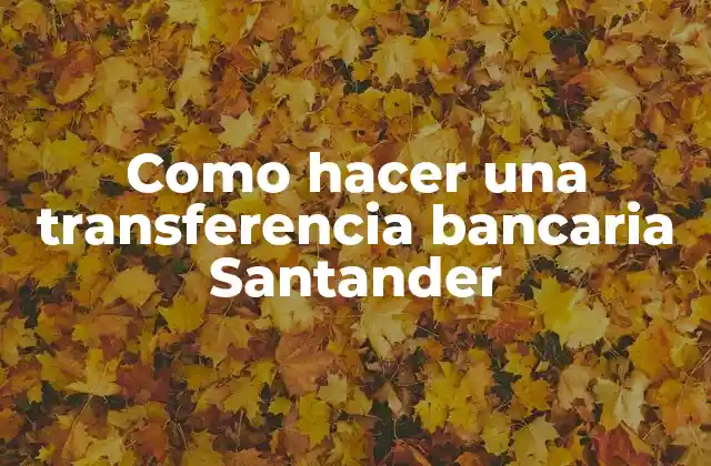 Como Hacer una Transferencia Bancaria Santander