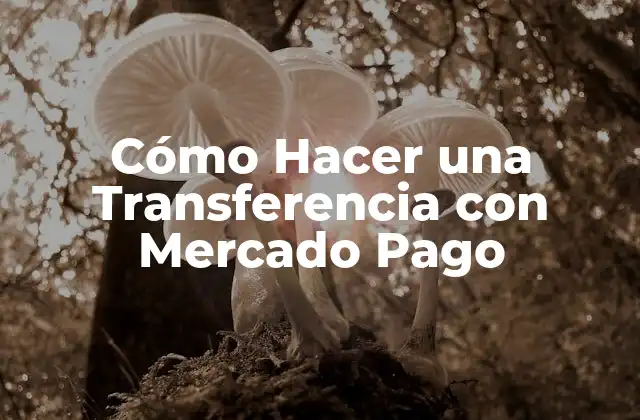 Cómo Hacer una Transferencia con Mercado Pago