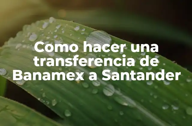 Como Hacer una Transferencia de Banamex a Santander